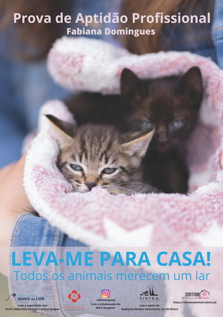 Leva me para casa Página 1 resize