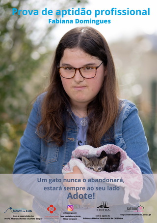Leva me para casa Página 4 resize