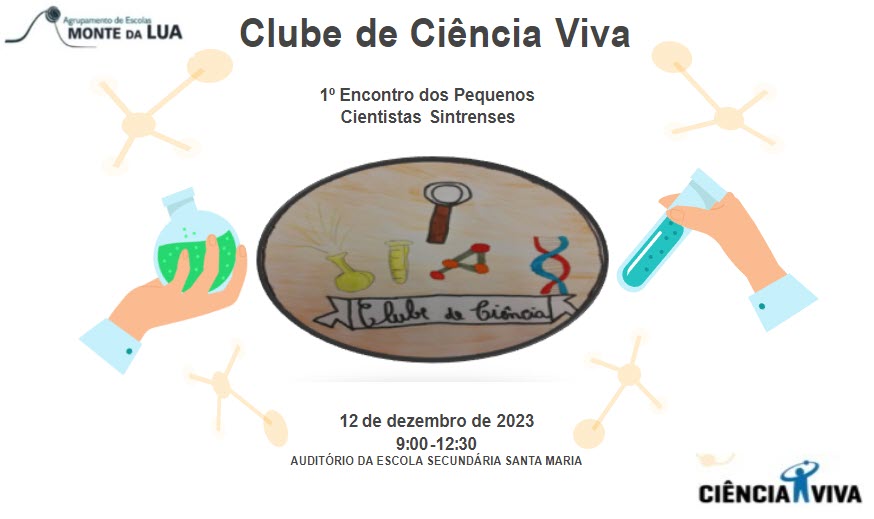jovens cientistas sintrenses