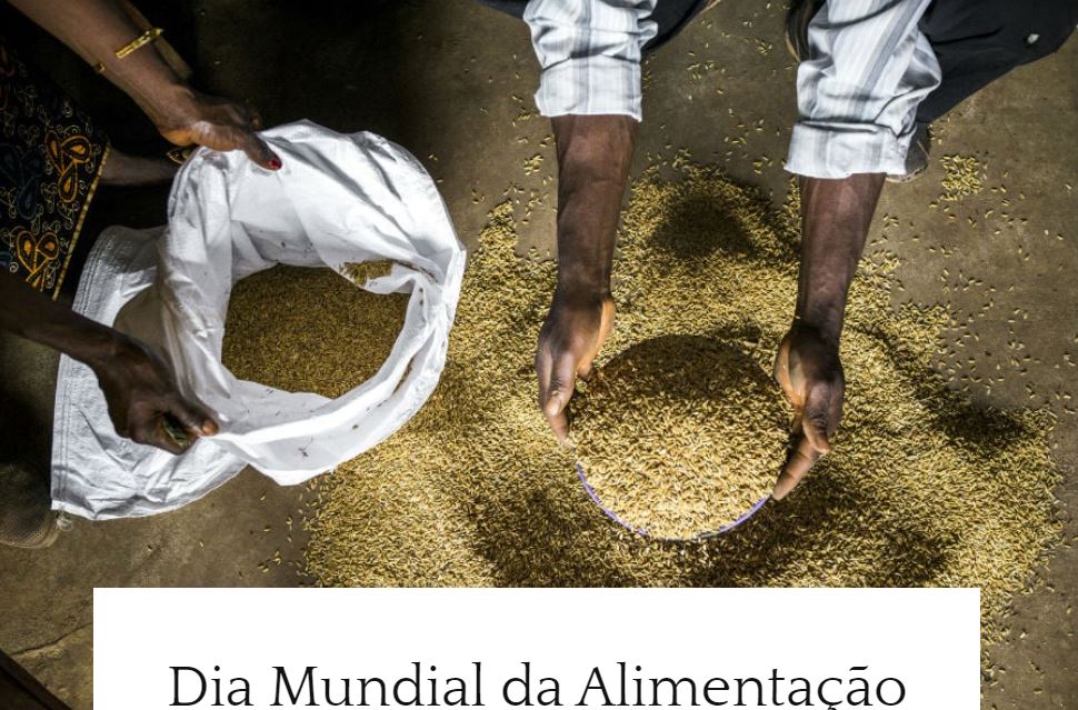 DIA MUNDIAL ALIMENTAÇÃO IMAGEM