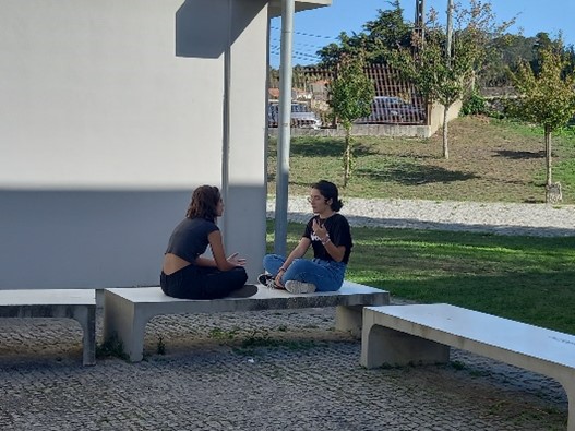 Imagem6