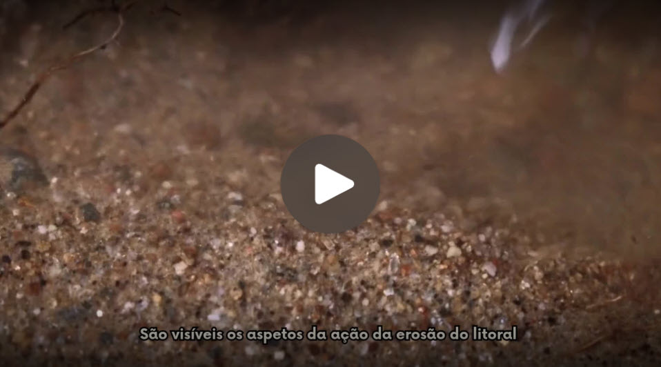 Cidadania e Desenvolvimento2